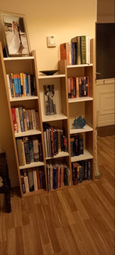 Kayrana Vito Bookcase White Oak Library Storage Unit photo review