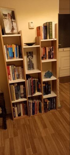 Kayrana Vito White and Oak Colour Bookcase Library Unit photo review