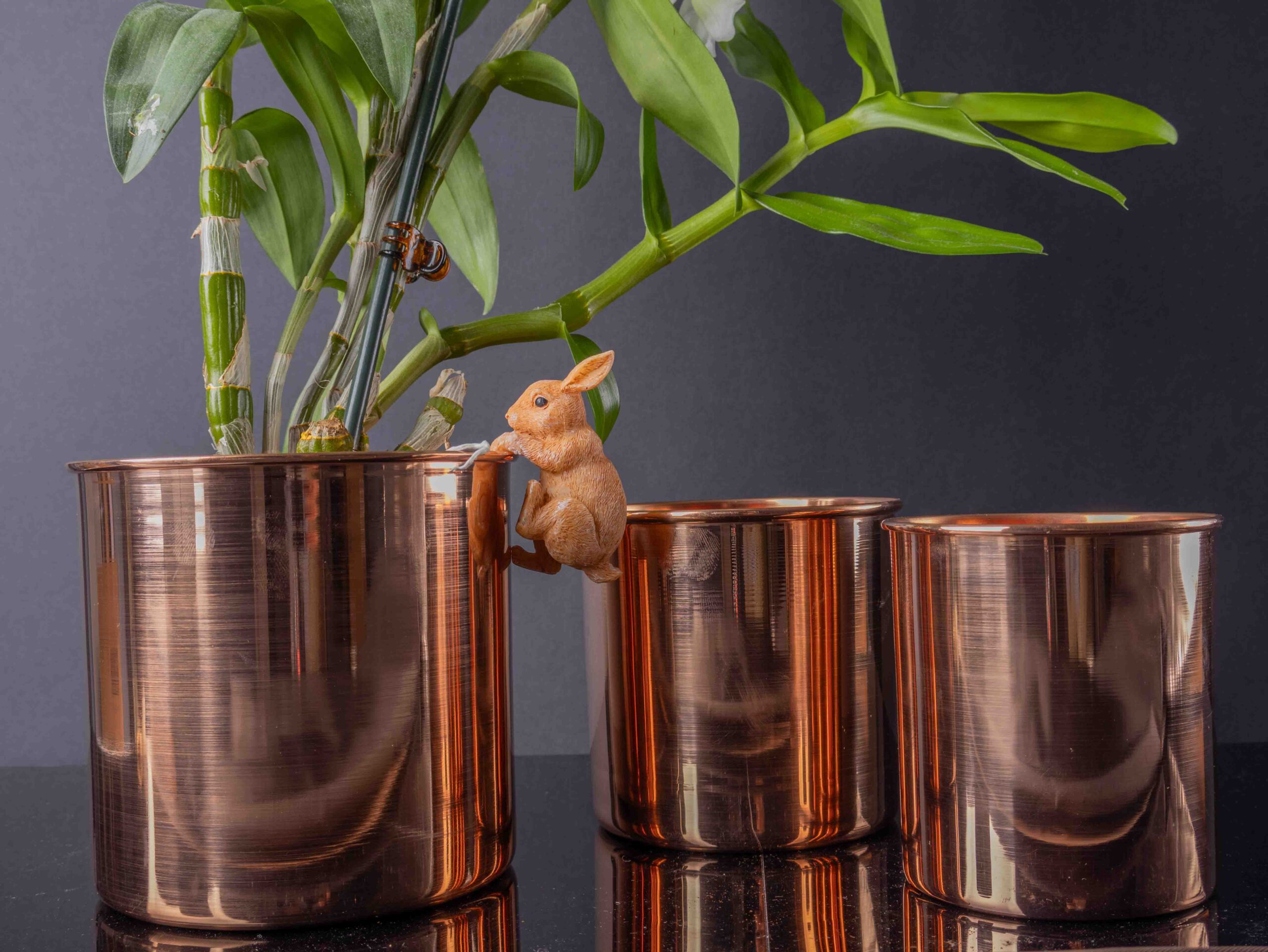 Kayrana French Flowers Copper Planter Set
